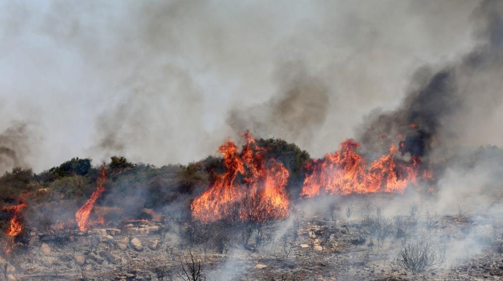 5255143754514175 Limassol fire July 2025
