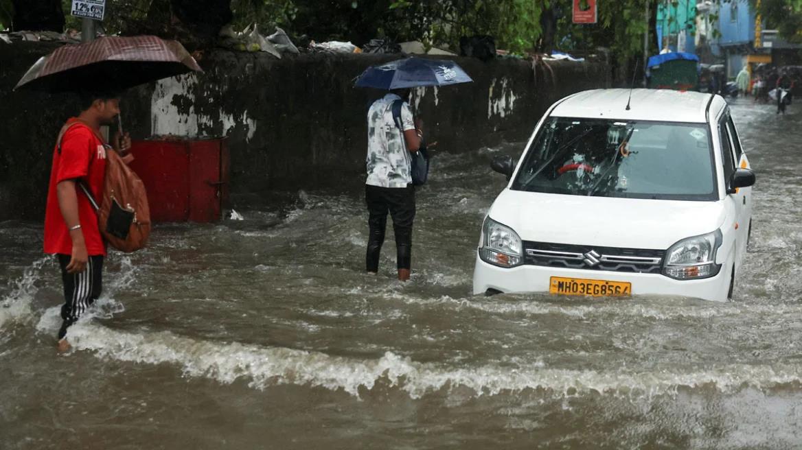 5523486359369804 image