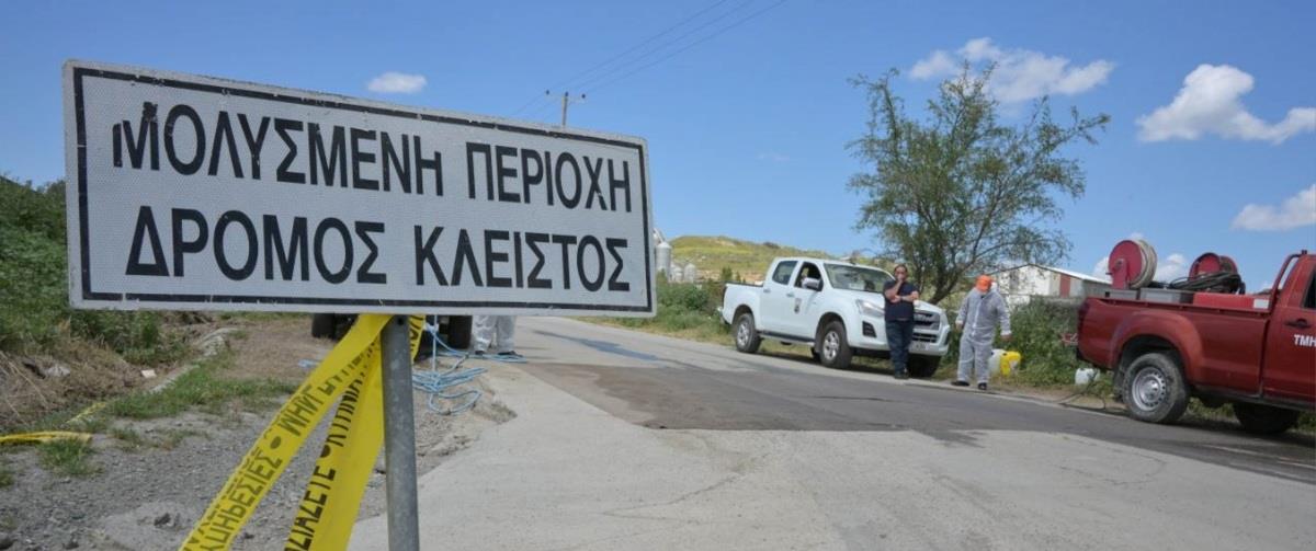 5539551976439918 PIO-1