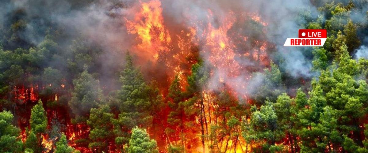 LIVE: Σε πύρινο κλοιό η Ελλάδα, τεραστίων διαστάσεων η φωτια στο Πόρτο Γερμενό-Κατακαίει παρθένο δάσος και περικυκλώνει οικισμούς