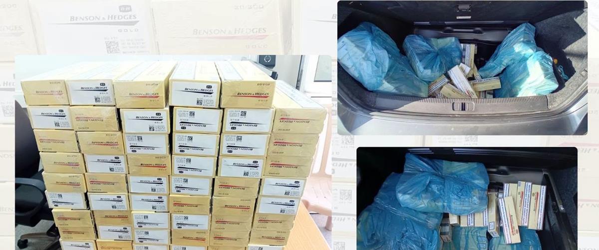 5551749880798009 cats