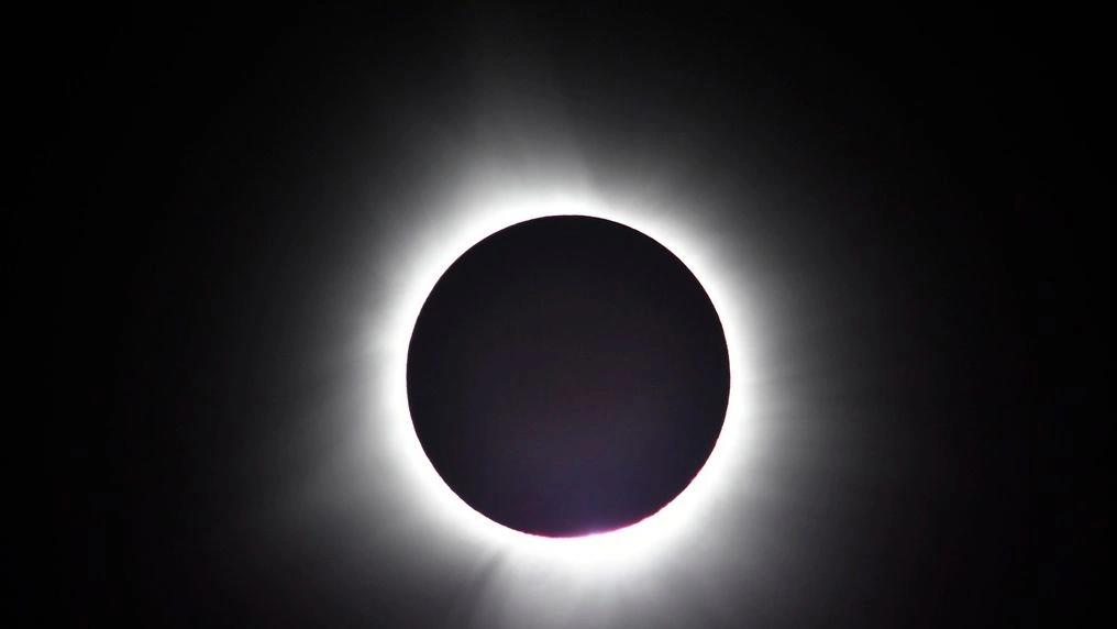 5555061905665730 image