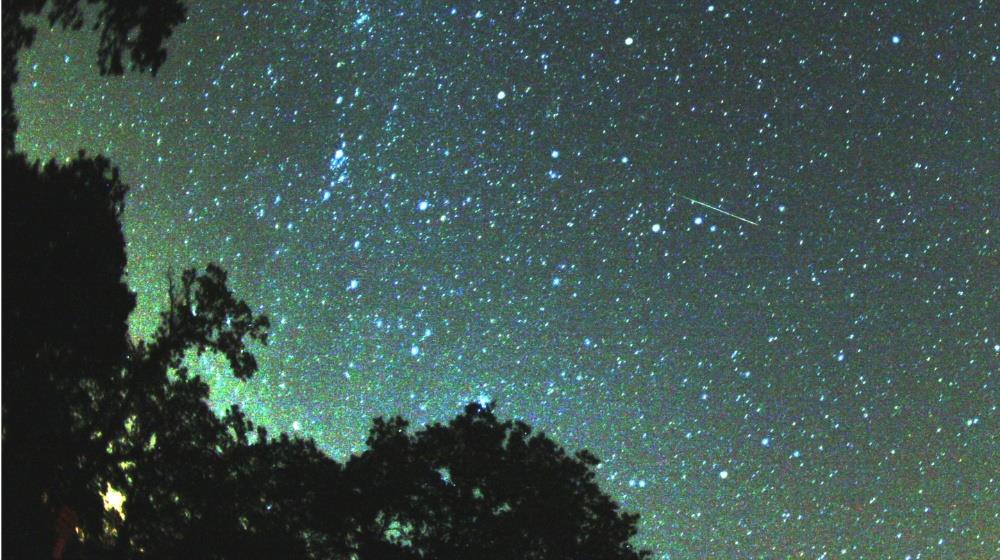 5557539829400438 Perseids