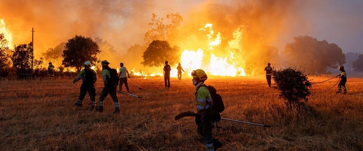 5558706935301503 2026-08-11T064502Z 2007367284 RC26WMADV6KO RTRMADP 5 ECLIPSE-SPAIN-WILDFIRE-RISKS-1200x800