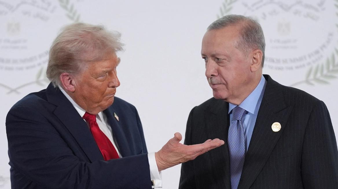 5562944981315718 image