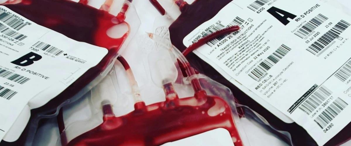 5563874255691153 Blood-donation-1024x709