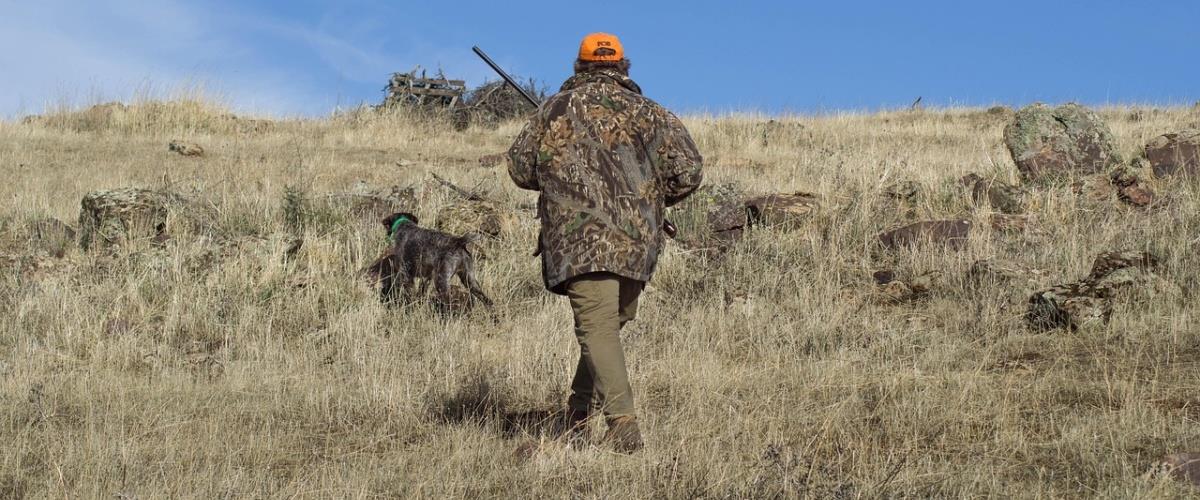 5570668488162651 hunting-4626683 1280-2