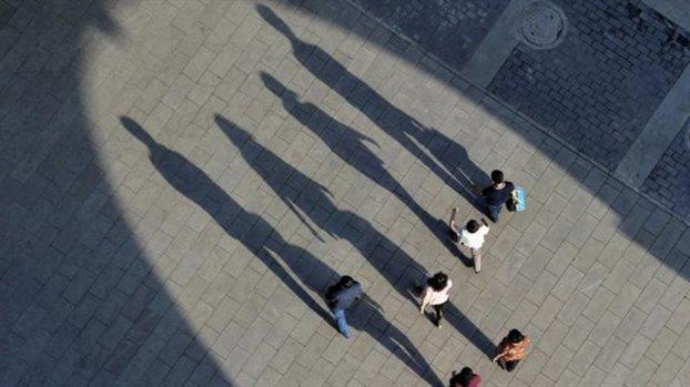 5575161765555739 image