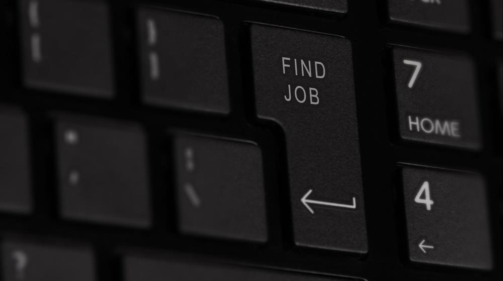 5315887391264206 employment unemployment