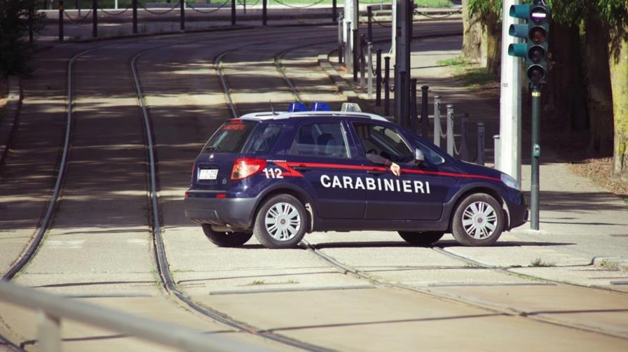 5577566768488094 florentia