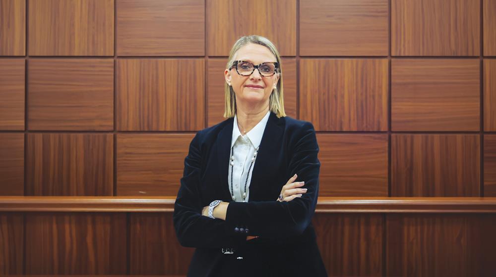 5574139492327481 Balancing Law with Evolving EU Society