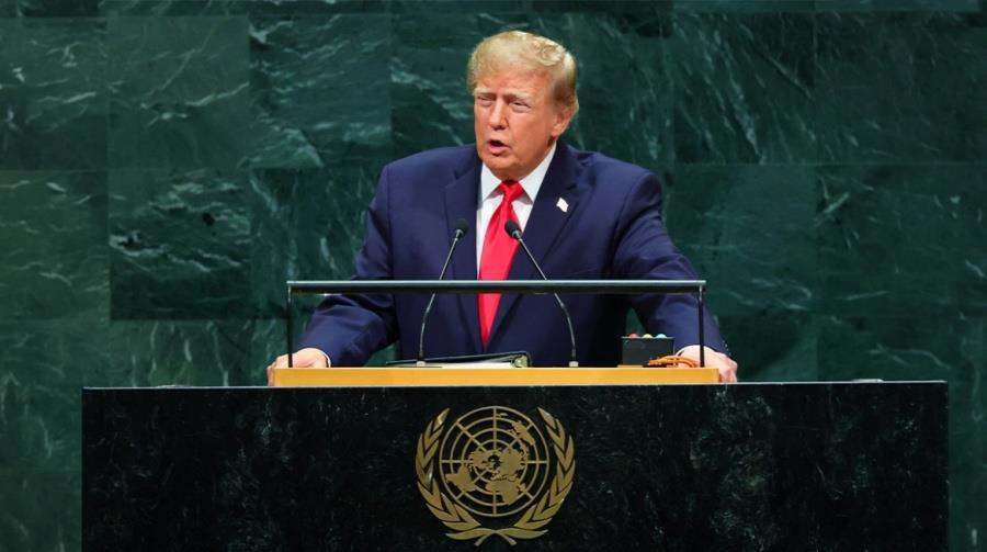 5593763182264469 maketa-trump-oie
