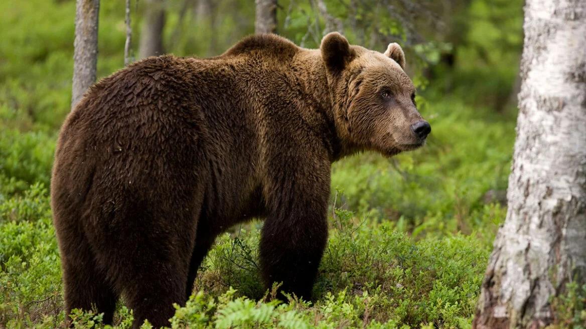 5598605602998136 image