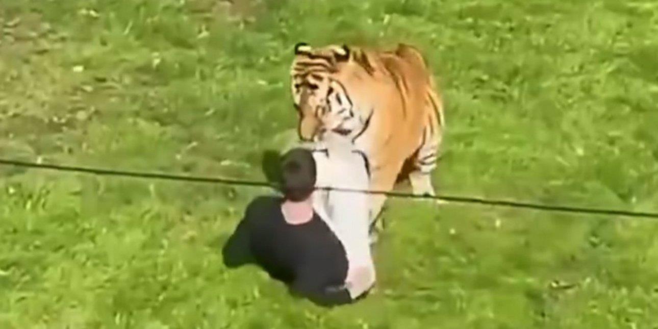 5609815226715603 image