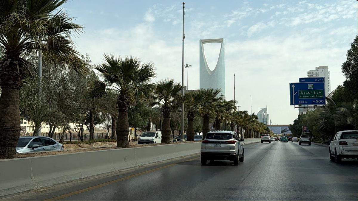 5611538149670536 image