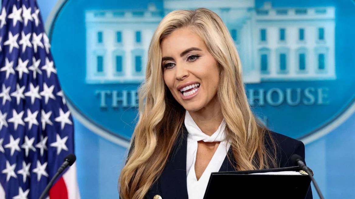 5613660515833873 image