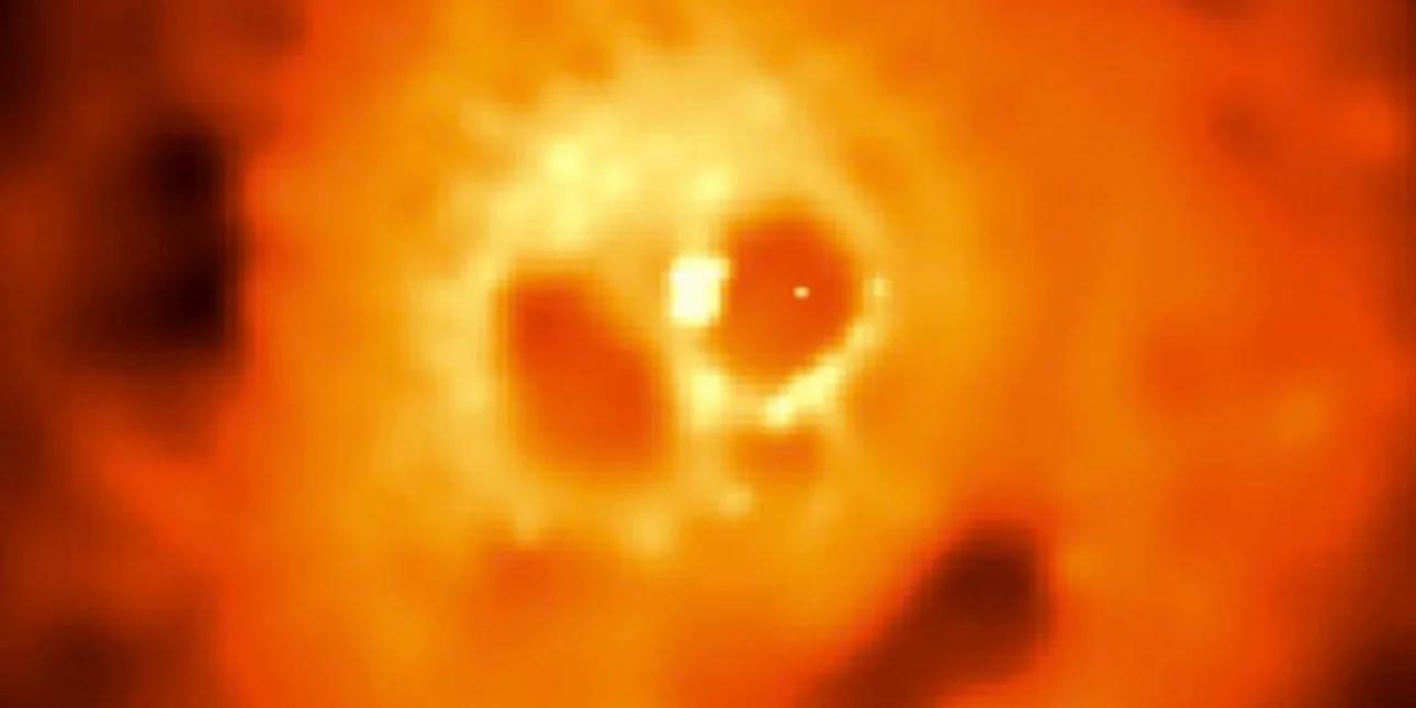 5626807601661028 image