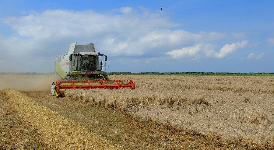 ΑΓΡΟΤΙΚΗ ΑΝΑΠΤΥΞΗ