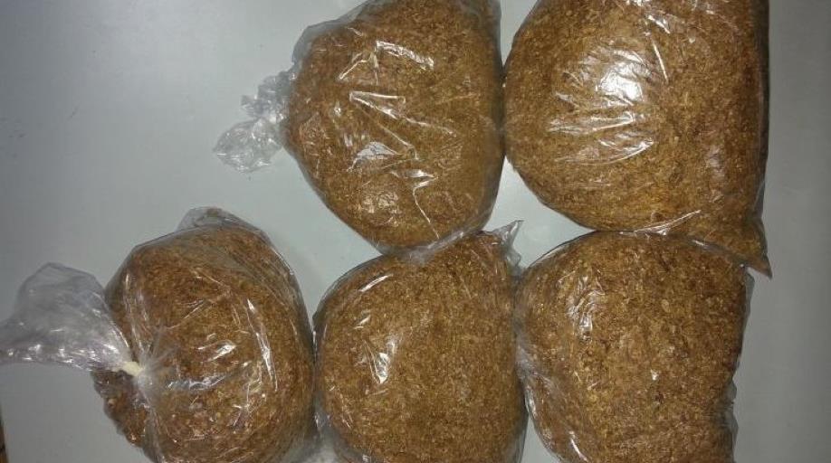 Φωτογραφία αρχείου