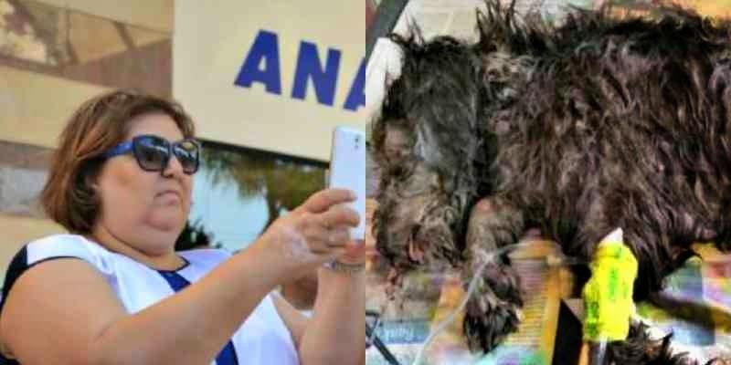 ΥΠΟΘΕΣΗ ΜΠΙΛΙ