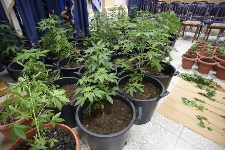 Φωτογραφία αρχείου