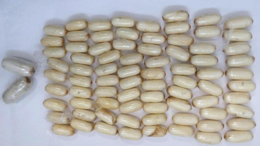 Φωτογραφία αρχείου