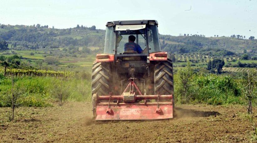 Φωτογραφία αρχείου