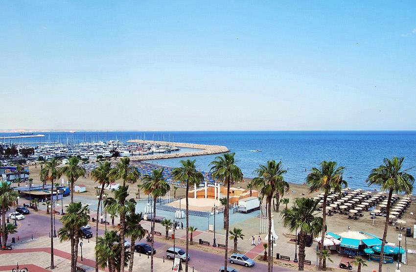 φοινικουδες