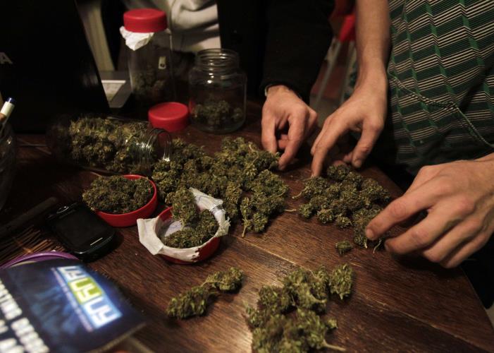 Dried marijuana is pictured on a table in Montevideo