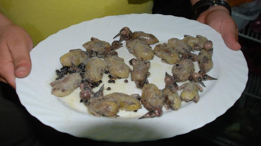 αμπελοπουλια 