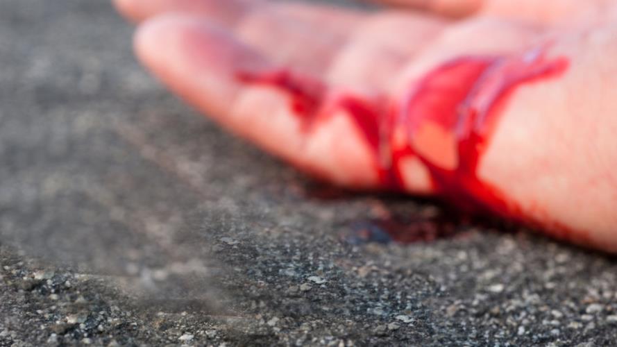 ΑΓΡΙΟΣ ΞΥΛΟΔΑΡΜΟΣ