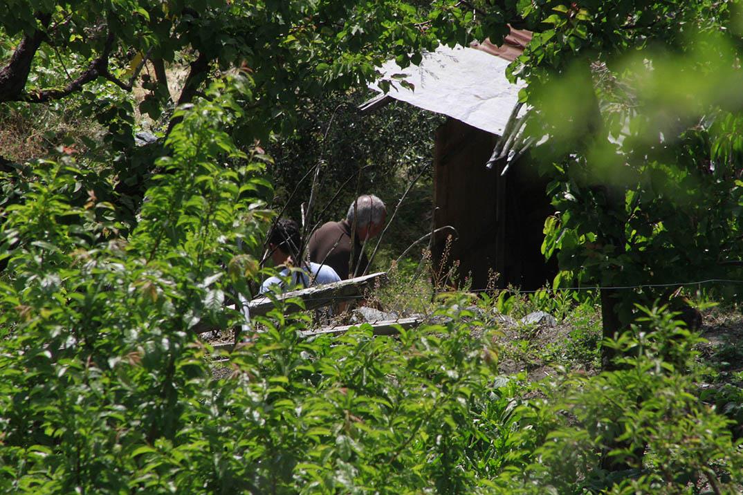 Tα θύματα είχαν δεχθεί αριθμό πυροβολισμών από πιστόλι, ενώ βρίσκονταν στο περιβόλι τους