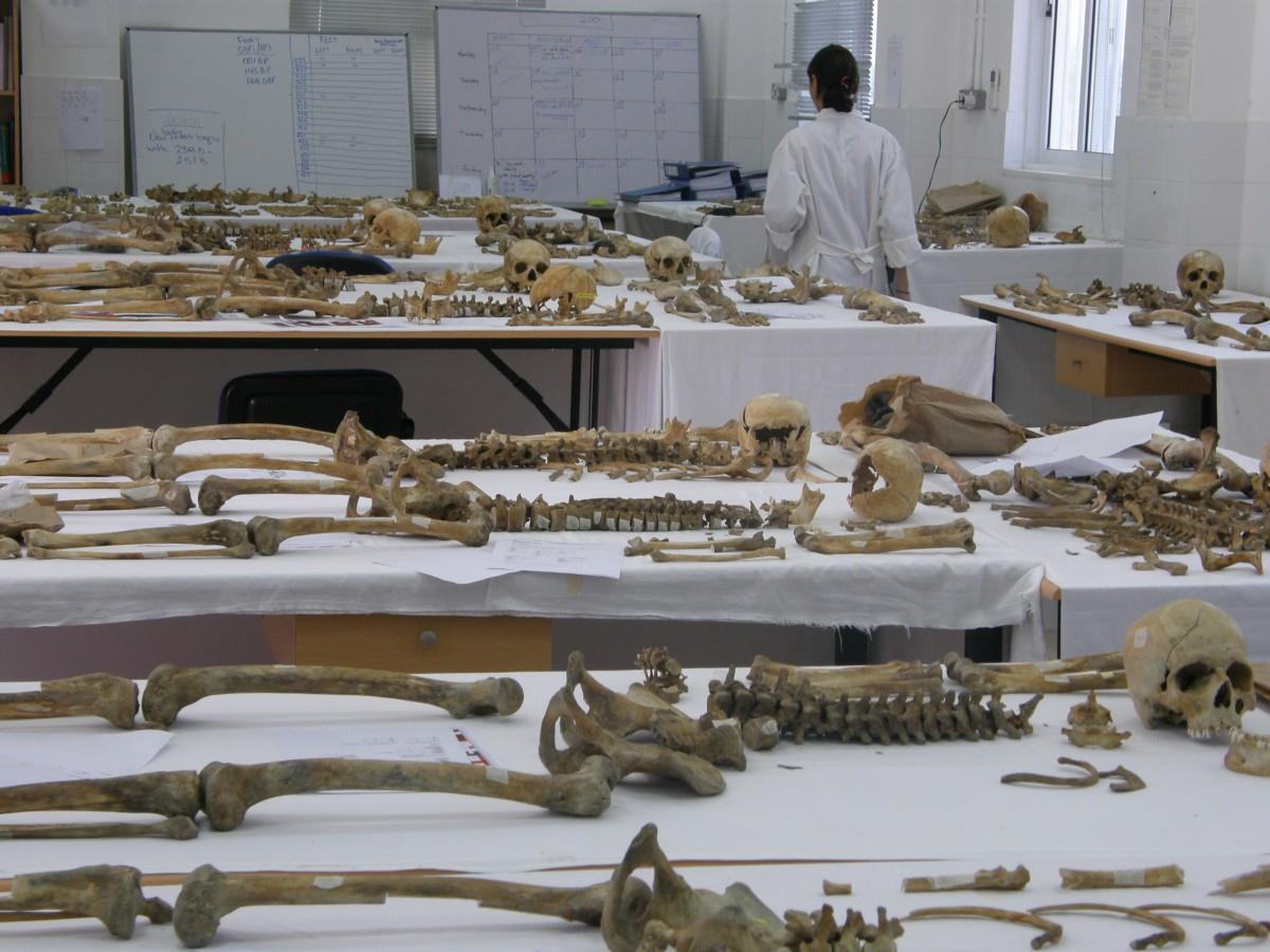 ΕΠΙΣΤΡΕΦΟΥΝ ΣΤΗ ΓΗ ΠΟΥ ΤΟΥΣ ΓΕΝΝΗΣΕ