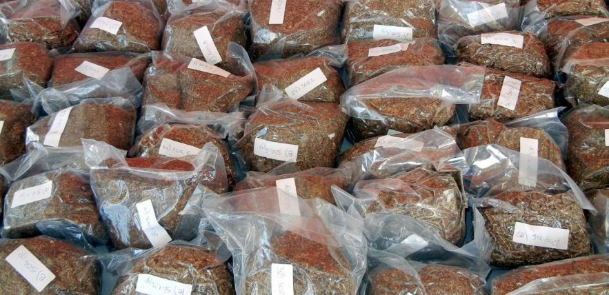 Φωτογραφία αρχείου