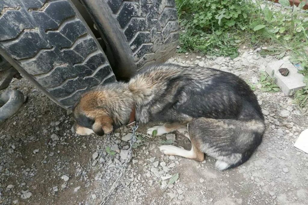 ΕΦΕΣΗ ΕΙΣΑΓΓΕΛΕΑ