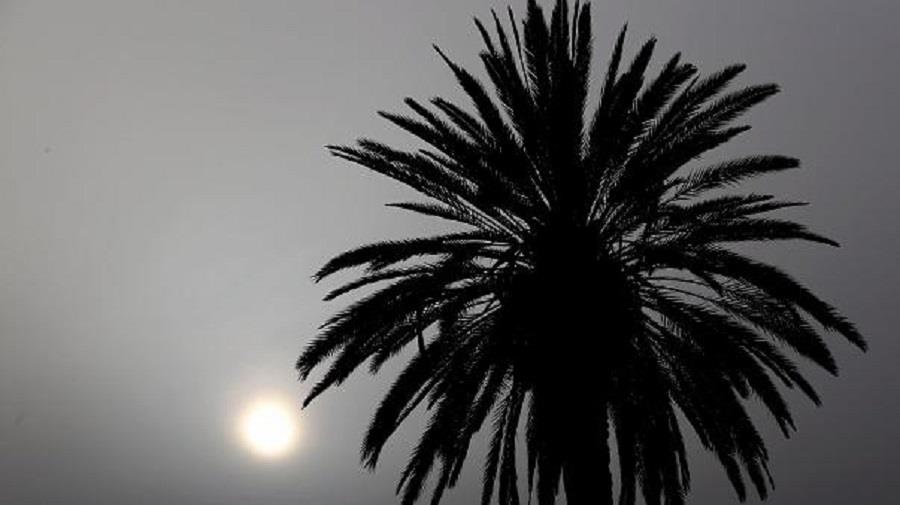 Φωτογρφία από Κάτια Χριστοδούλου ΚΥΠΕ