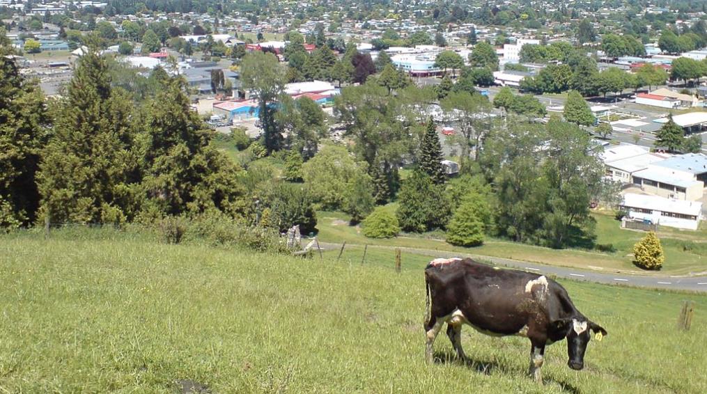 Η ΤΕΛΕΙΑ ΔΟΥΛΕΙΑ
