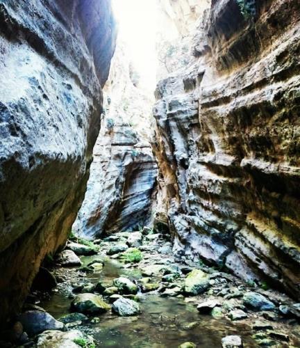 Φαράγγι Άβακα