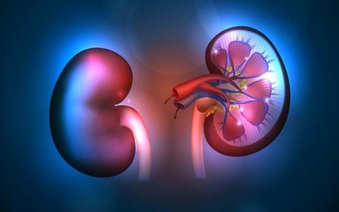 ΝΕΦΡΟΠΑΘΕΙΑ