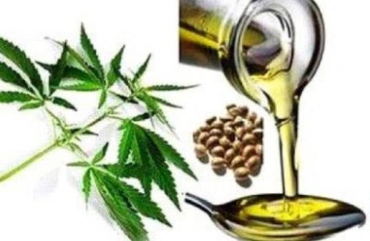 κανναβελαιο