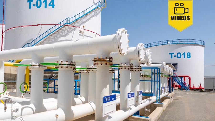 petrolinavasilikovideo