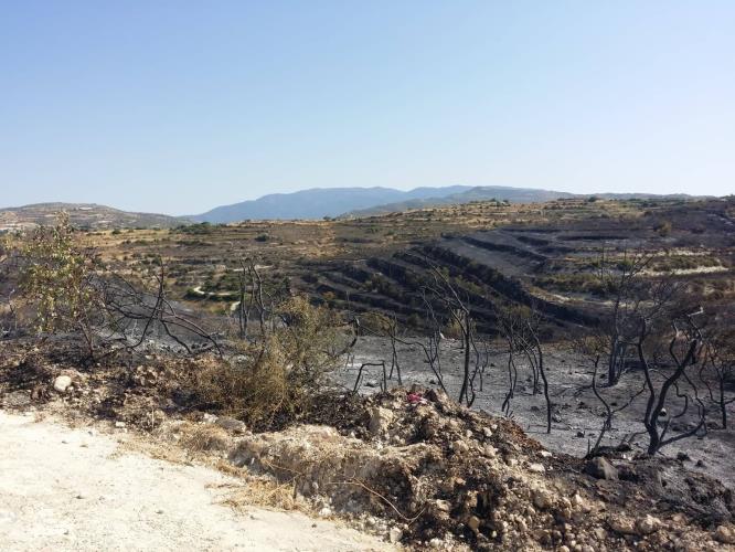 ΠΥΡΚΑΓΙΑ ΣΤΗΝ ΠΕΡΙΟΧΗ ΜΑΛΛΙΑΣ - ΠΑΧΝΑΣ ΣΤΗΝ ΕΠΑΡΧΙΑ ΛΕΜΕΣΟΥ