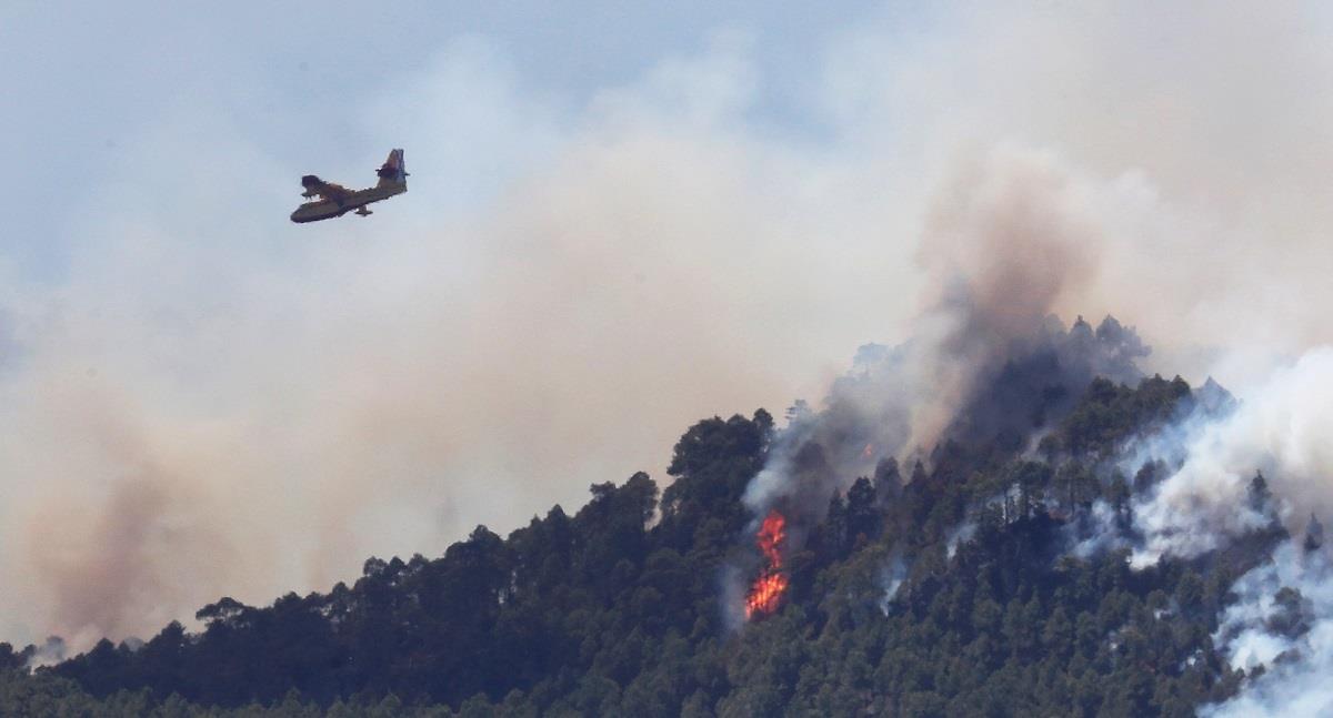 Forest fire at the Tamadaba park Gran Canaria