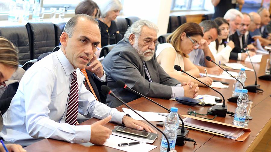 georgiadisvoulinews8