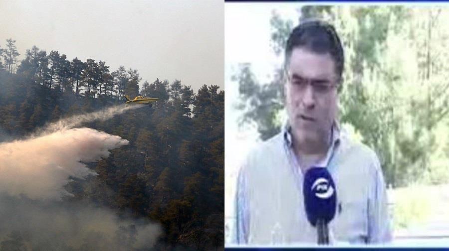 κοτυγιαλησς