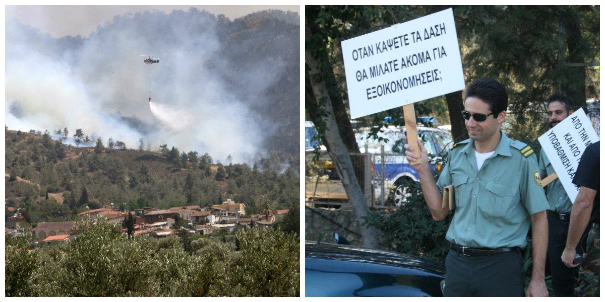 κολαζ τμήμα δασών