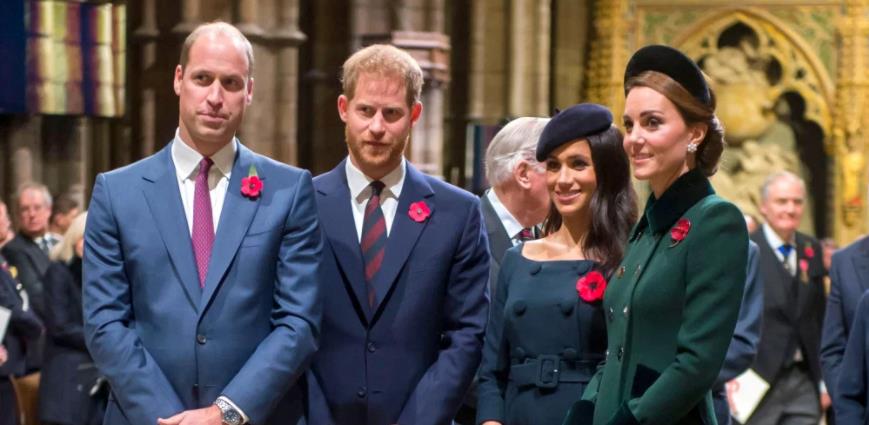 3845168369480942 image