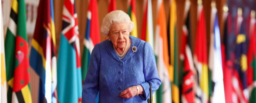 3845974380337672 image