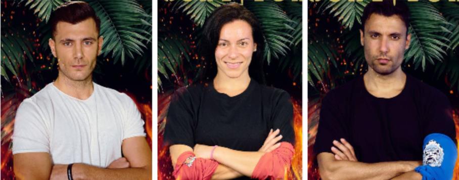 3846115374341266 image