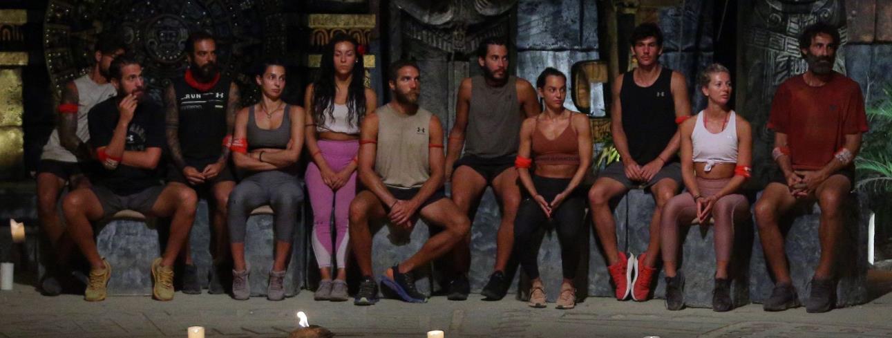 3846807546004431 image